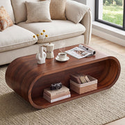Oval Coffee Table with Storage
