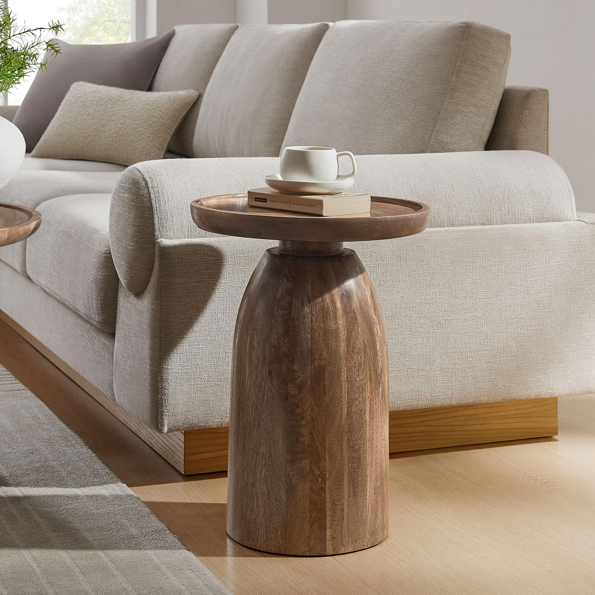 Round Mango Wood Side Table