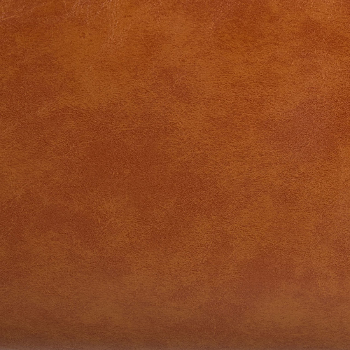 SAFAVIEH Home Collection Delfino Cognac Faux Leather/Natural Accent Chair